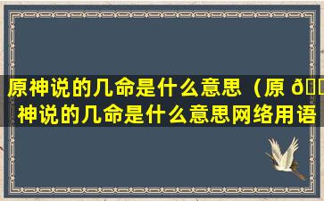 原神说的几命是什么意思（原 🐦 神说的几命是什么意思网络用语）